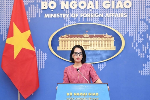 Việt Nam hoan nghênh Nghị quyết 2728 về việc ngừng bắn tại dải Gaza